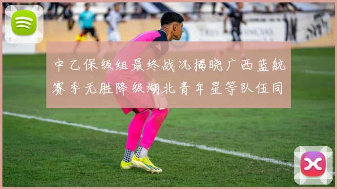 中乙保级组最终战况揭晓广西蓝航赛季无胜降级湖北青年星等队伍同遭降级
