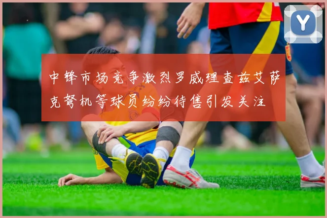 中锋市场竞争激烈罗威理查兹艾萨克弩机等球员纷纷待售引发关注