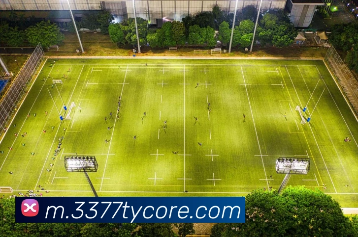 多媒体互动体验