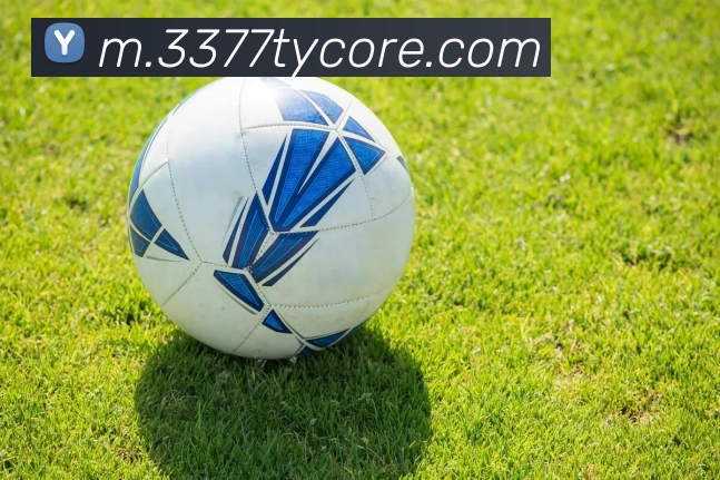 3377体育APP 高清赛事图