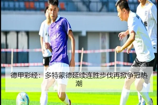 德甲彩经:多特蒙德延续连胜步伐再掀争冠热潮 - 3377Sports